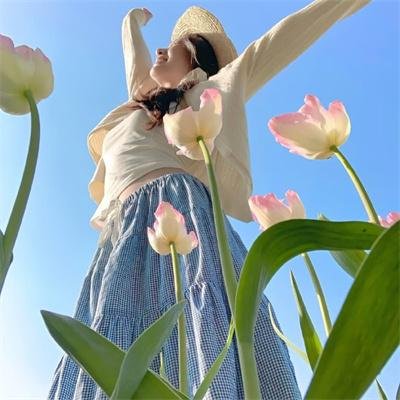 美国豚鼠2：血腥冲击